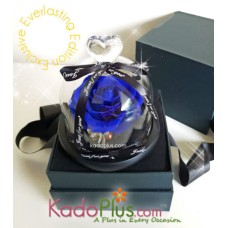 Eternity Blue Rose